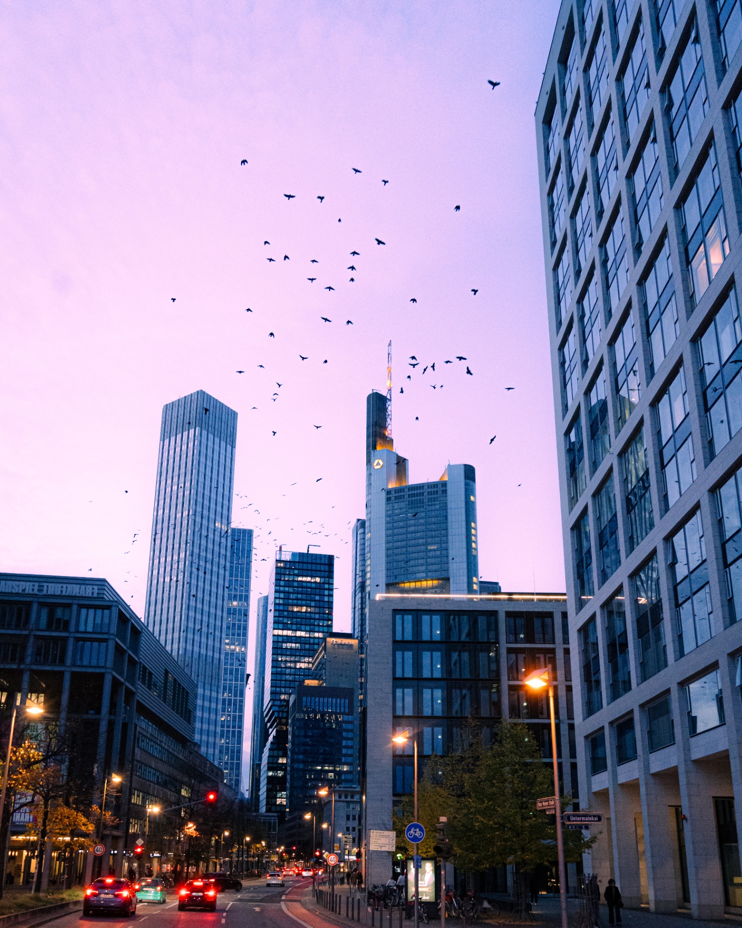 Centre-ville au crépuscule survolé par des oiseaux